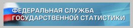 Федеральная служба государственной статистики
